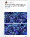 IMG_1944.jpeg