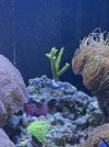 IMG_7004.jpeg