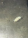 IMG_3009.jpeg