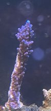 IMG_5864.jpeg