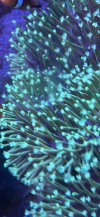 IMG_5865.jpeg