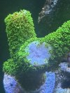 IMG_7944.jpeg