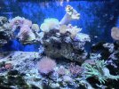 20260314_180839.jpg
