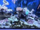 20260314_180756.jpg