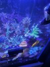 20260314_180641.jpg
