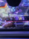 20260314_180647.jpg