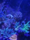 20260314_180717.jpg