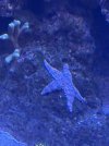 IMG_2835.JPG