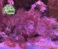 IMG_4787.jpeg