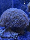 IMG_6795.jpeg