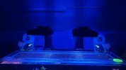 IMG_7270.jpeg