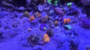 20260329_162811.jpg