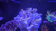20260329_162813.jpg