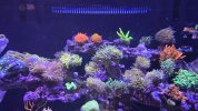 20260329_162818.jpg