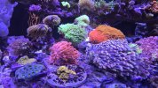 20260329_162822.jpg