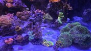 20260329_162824.jpg