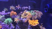20260329_162827.jpg