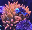 20260329_164720.jpg