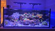 20260329_162806.jpg