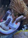 IMG_7132.jpeg