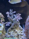 IMG_7117.jpeg