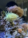 IMG_7097.jpeg