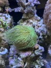 IMG_7115.jpeg