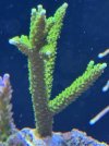 IMG_7139.jpeg