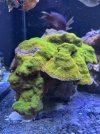 IMG_7154.jpeg