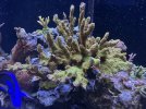 IMG_7157.jpeg