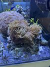 IMG_7147.jpeg