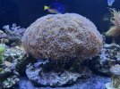 IMG_7152.jpeg