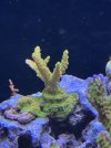 IMG_7145.jpeg