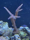 IMG_7135.jpeg