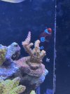 IMG_7143.jpeg
