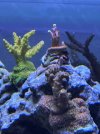 IMG_7134.jpeg