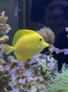 IMG_7171.jpeg