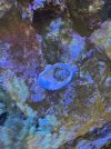 IMG_2797.jpeg