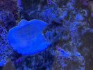 IMG_2710.jpeg