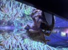 IMG_3169.jpeg