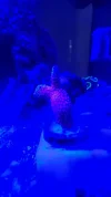 20260503_161743.webp