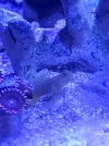 20260508_171858.webp