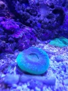 20260508_172215.webp