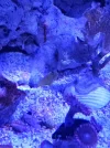 20260515_132351.webp