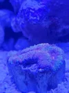 20260521_145946.webp