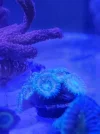20260521_145958.webp