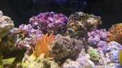 20260607_144122.webp