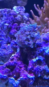 20260609_162802.webp
