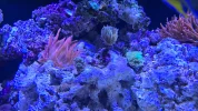 20260608_135350.webp