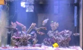 update-20060612L.webp